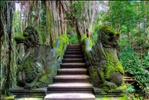 Sacred Monkey Forest Sanctuary, Ubud, Bali, Indonesia